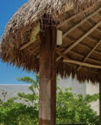 Niwa Tulum Hotell Eksteriør bilde